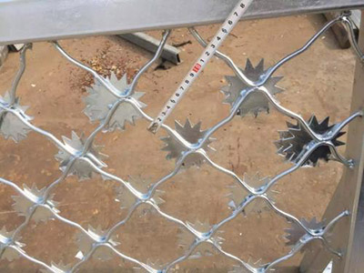 太阳花美格网-大连鑫盛源丝网制品有限公司图片2